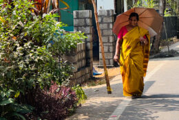 India_2025 (14/45)